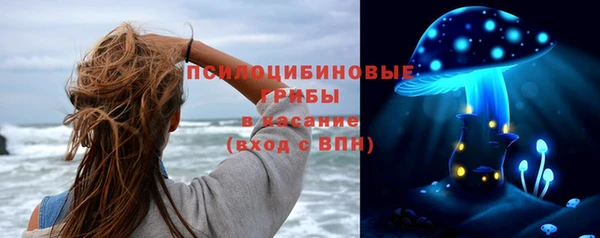 MESCALINE Бородино