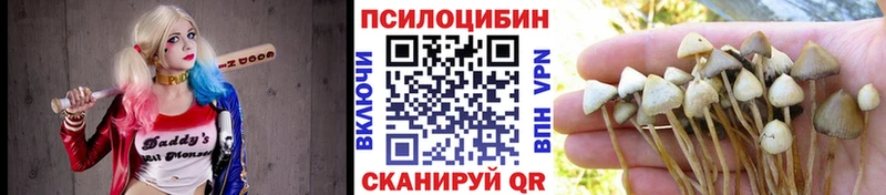 Псилоцибиновые грибы прущие грибы  Кемерово 